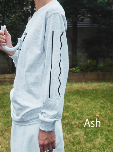 ash2