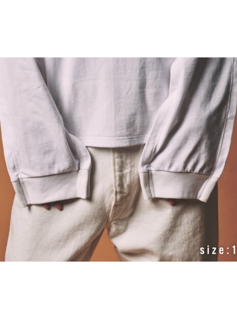 wt_21 wt_21